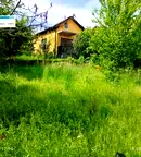 Къща в Перник, Център