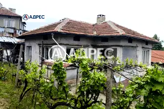 Къща в Раз, Център