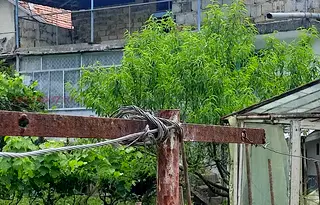 Къща в Раз, Освобождение