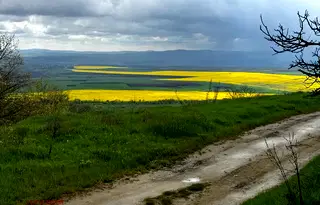 Къща във Варна, с. Аврен