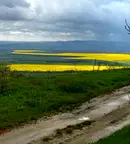 Къща във Варна, с. Аврен