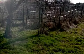 Къща в Пловдив, с. Бегово