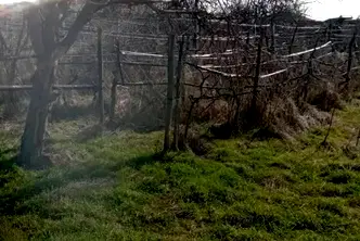 Къща в Пловдив, с. Бегово