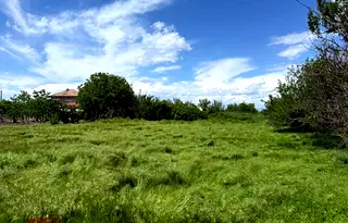 Къща в Пловдив, с. Белозем
