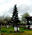 Къща във Варна, с. Болярци