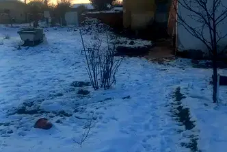 Къща в Плевен, с. Бреница