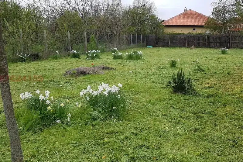 House in Bryastovec