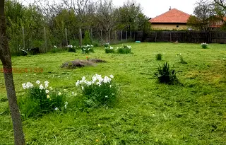 Къща в с. Брястовец