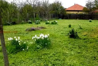 Къща в с. Брястовец