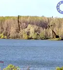 Къща във Видин, с. Цар Симеоново
