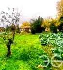 Къща във Варна, с. Царевци