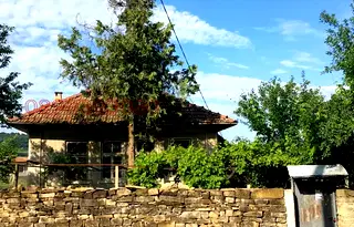 Къща във Велико Търново, с. Церова кория