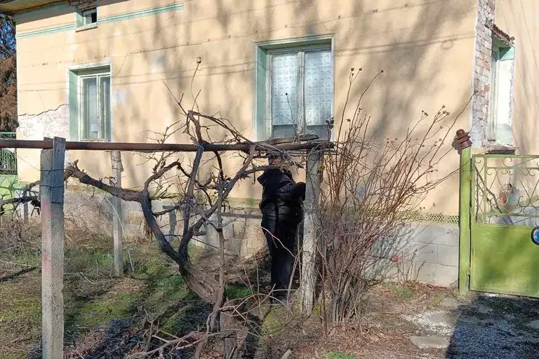 Къща в Плевен, с. Дебово