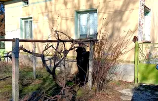 Къща в Плевен, с. Дебово