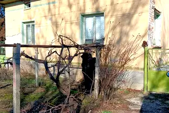 Къща в Плевен, с. Дебово