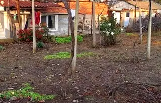 Къща в Ямбол, с. Джинот