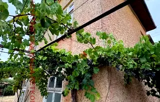 Къща в Ловеч, с. Дойренци