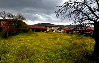 Къща в Стара Загора, с. Дворище