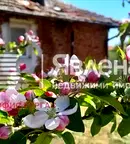 Къща в Бургас, с. Фазаново