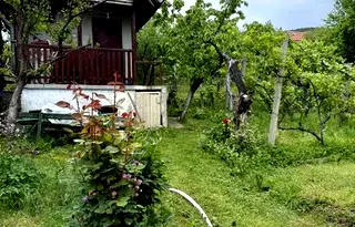 Къща в Кюстендил, с. Горна Брестница