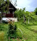 Къща в Кюстендил, с. Горна Брестница