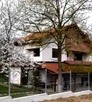 Къща в Монтана, с. Горна Лука