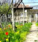 Къща в Ловеч, с. Горско Сливово