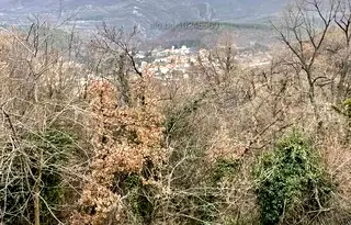 Къща в Пловдив, с. Храбрино