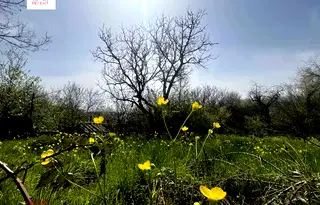 Къща в Габрово, с. Карали