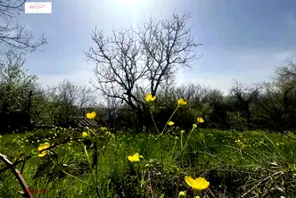 Къща в Габрово, с. Карали