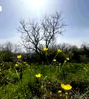 Къща в Габрово, с. Карали