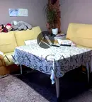 Къща в Пловдив, с. Костиево