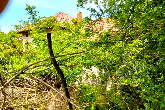 Къща във Велико Търново, с. Козловец