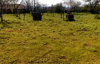 Къща във Варна, с. Кривня