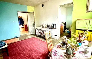 Къща в София, с. Лесново