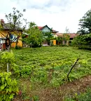 Къща във Велико Търново, с. Недан