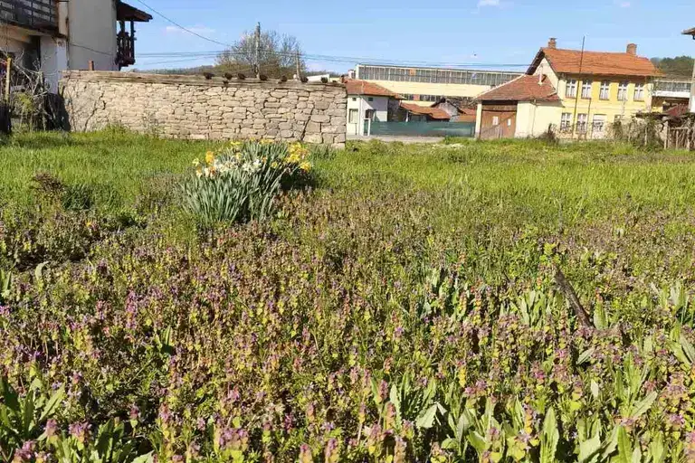 House in Oblast Lovech, Oreshak