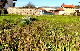 Къща в Ловеч, с. Орешак