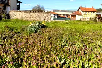 Къща в Ловеч, с. Орешак
