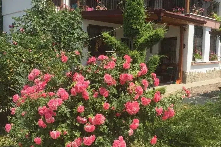 House in Oblast Burgas, Orizare