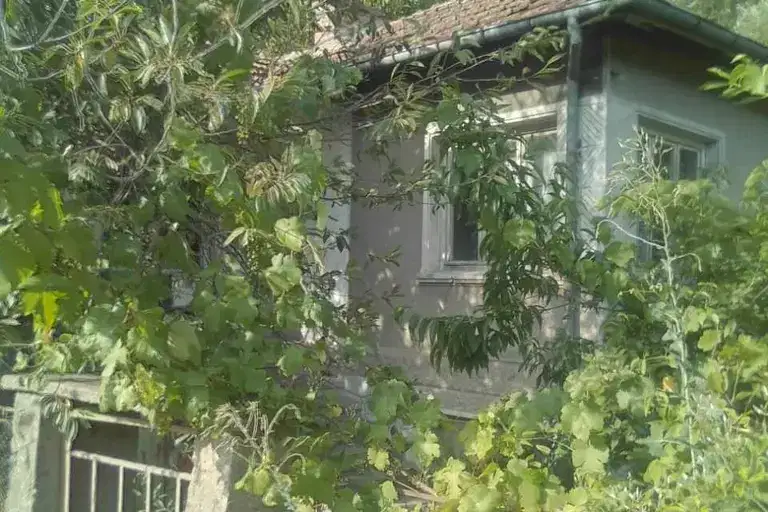 Къща в Стара Загора, с. Пчелиново