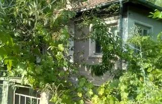 Къща в Стара Загора, с. Пчелиново