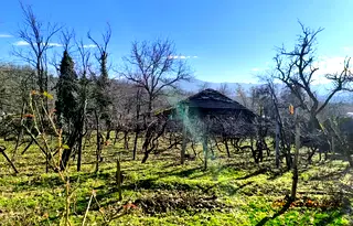 Къща в Габрово, с. Пецовци