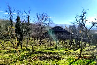 Къща в Габрово, с. Пецовци