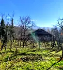 Къща в Габрово, с. Пецовци