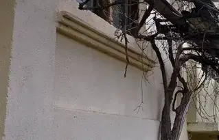 Къща в Пловдив, с. Правище