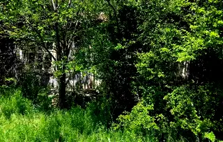Къща в Добрич, с. Раковски