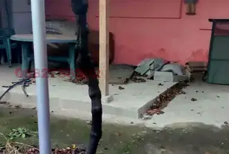 Къща в Шумен, с. Салманово