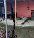 Къща в Шумен, с. Салманово