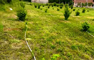 Къща в Пазарджик, с. Щърково